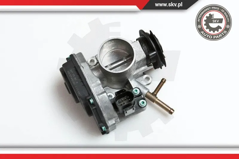 Throttle Body (12SKV033)