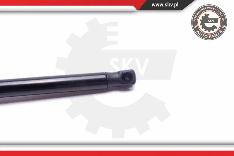 Gas Spring, boot/cargo area