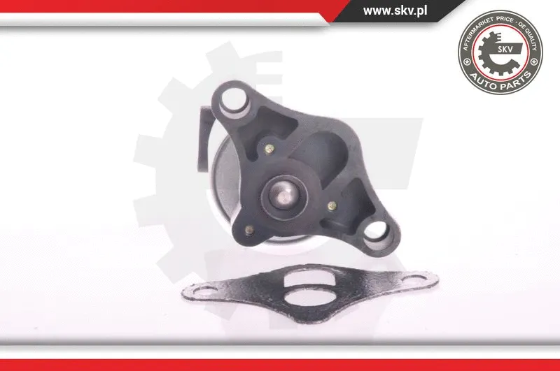 EGR Valve