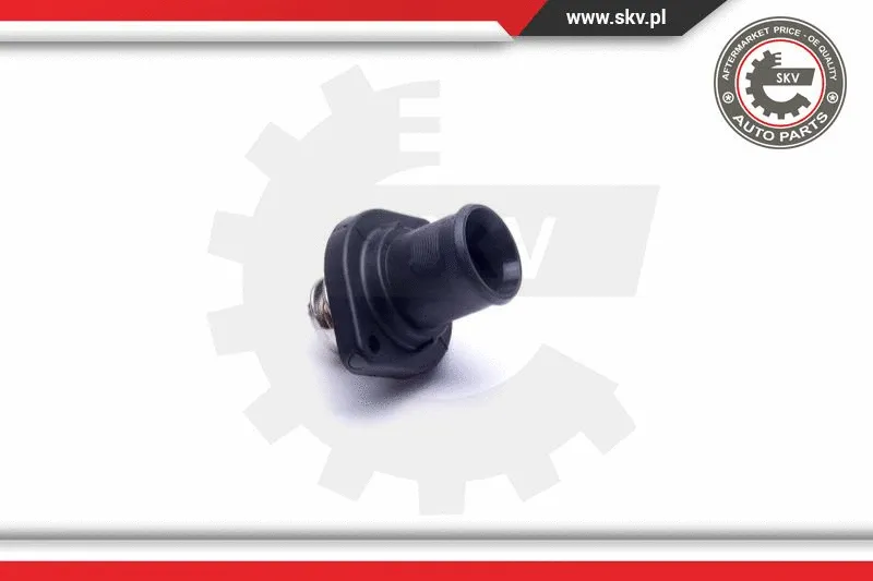 Thermostat, coolant