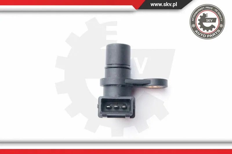 Sensor, camshaft position (17SKV249)