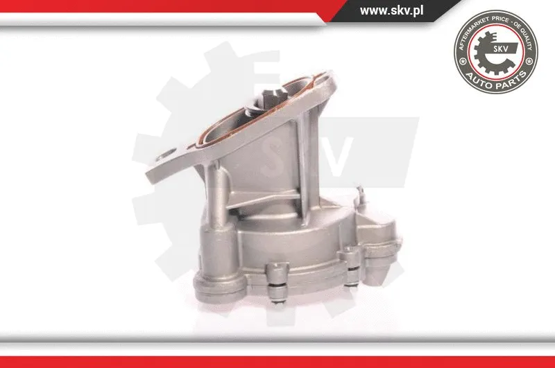 Vacuum Pump, braking system (18SKV006)