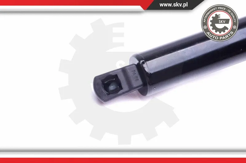 Gas Spring, boot/cargo area