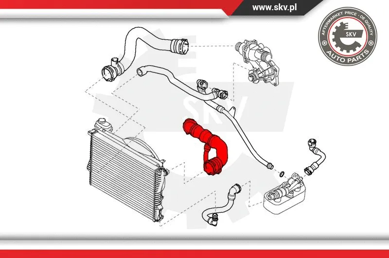 Radiator Hose