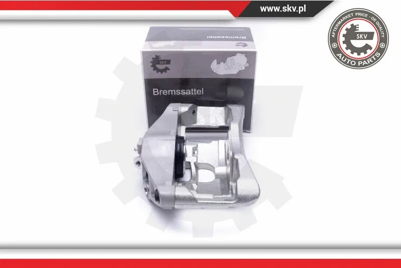 Brake Caliper (55SKV791)