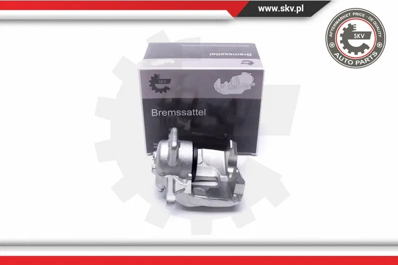 Brake Caliper (55SKV941)