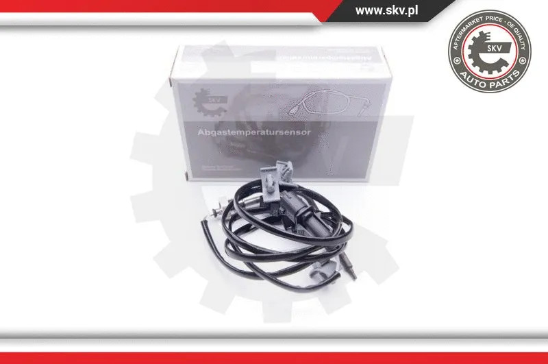 Sensor, exhaust gas temperature (30SKV070)