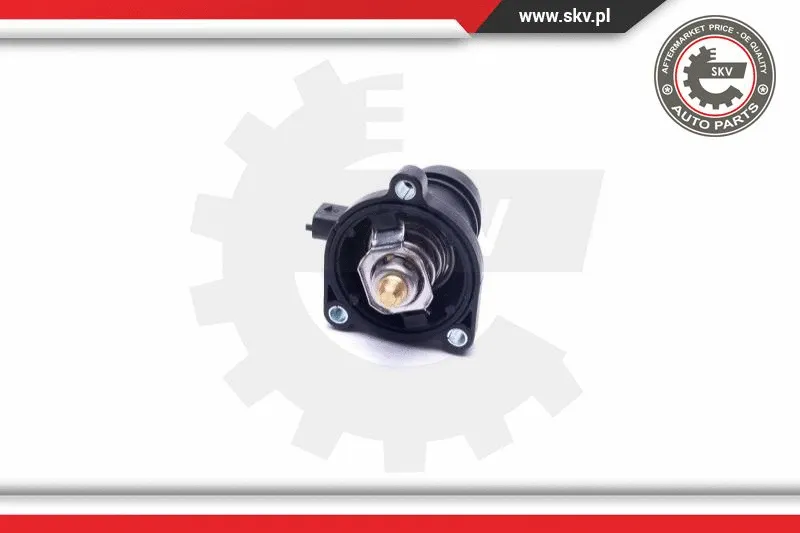 Thermostat, coolant