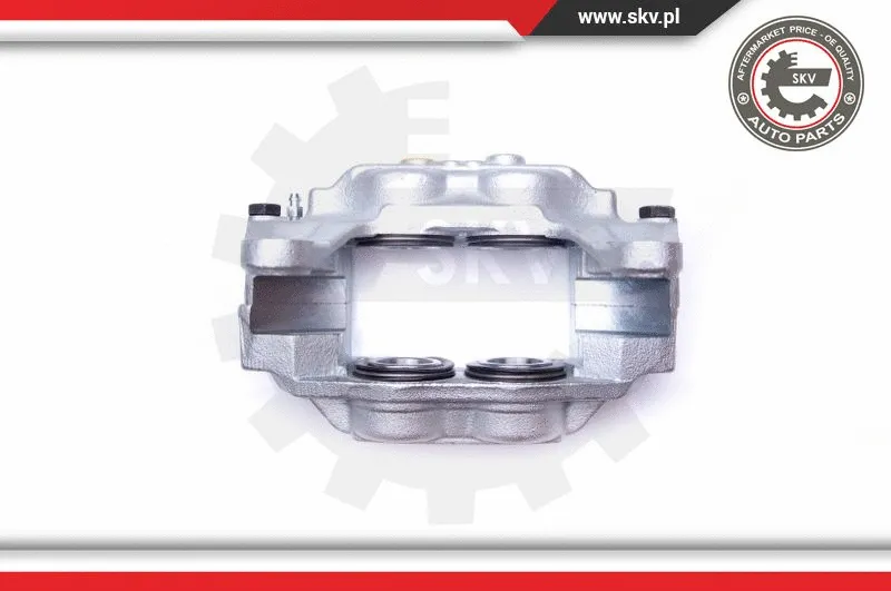 Brake Caliper (42SKV172)