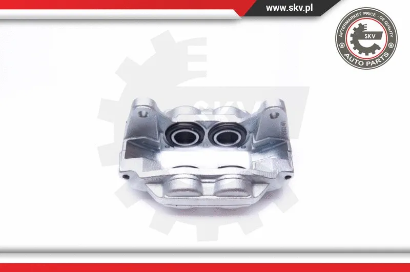 Brake Caliper (42SKV171)