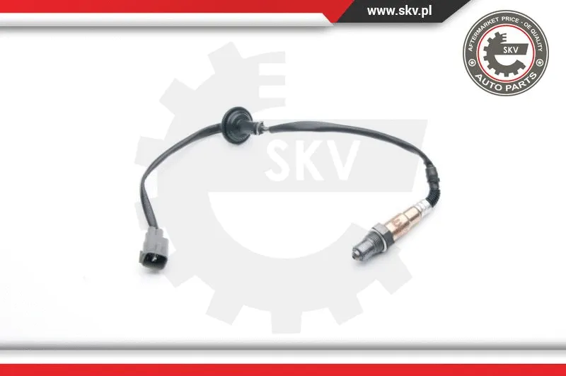 Lambda Sensor (09SKV748)
