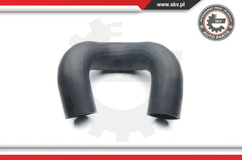 Charge Air Hose (24SKV210)