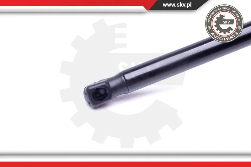 Gas Spring, boot/cargo area