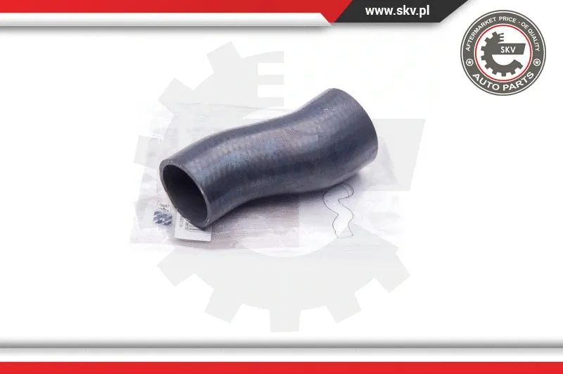 Charge Air Hose (24SKV709)