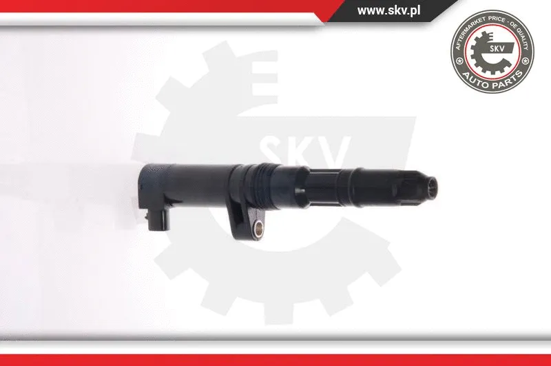 Ignition Coil (03SKV001)