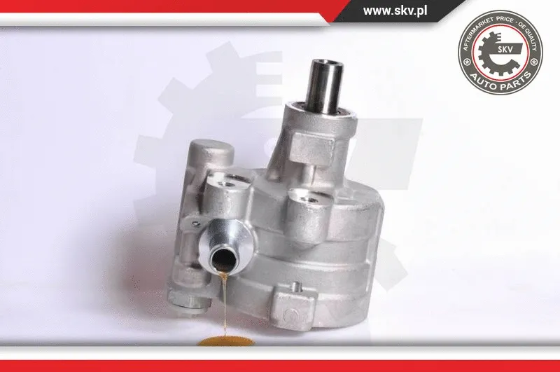Hydraulic Pump, steering (10SKV180)