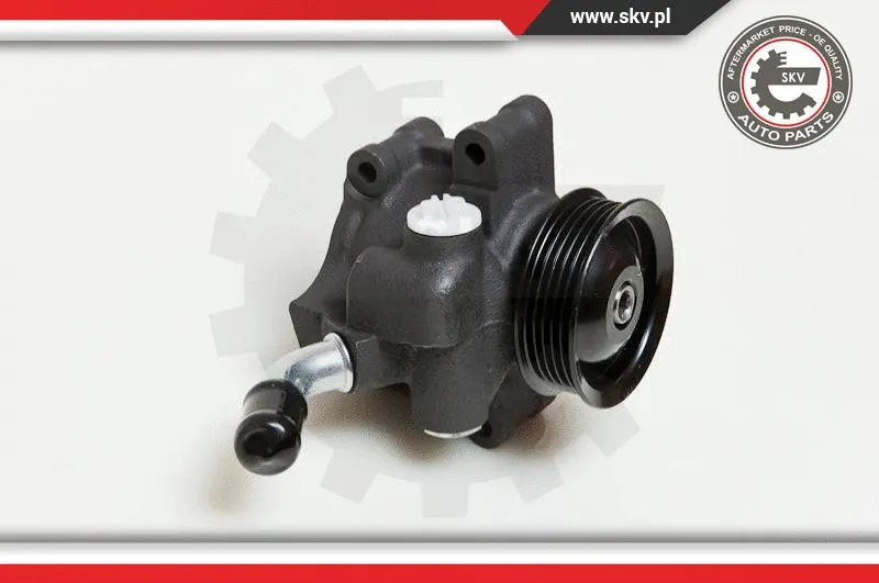Hydraulic Pump, steering (10SKV035)