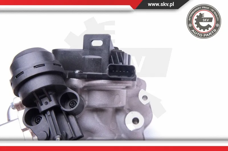 EGR Valve (14SKV157)