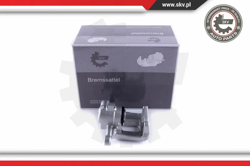 Brake Caliper (55SKV233)