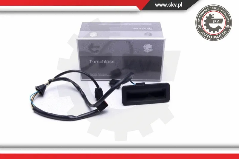 Exterior Door Handle (16SKV267)