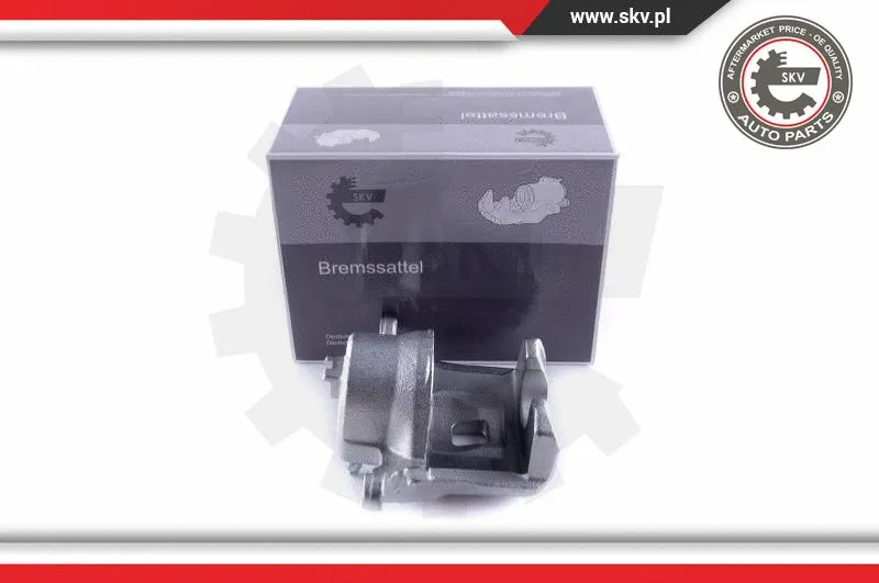 Brake Caliper (55SKV061)