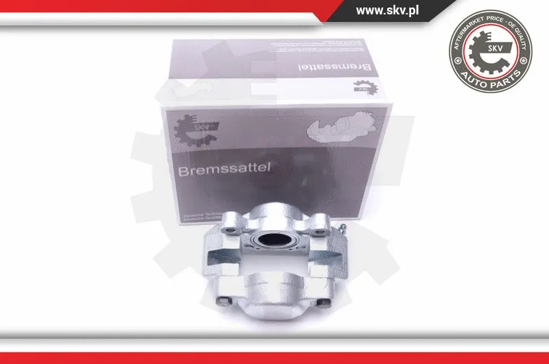 Brake Caliper (45SKV912)