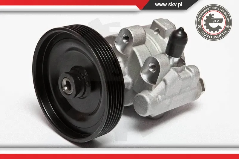 Hydraulic Pump, steering (10SKV068)