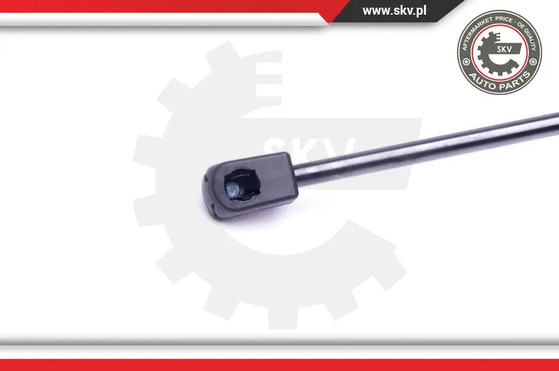 Gas Spring, boot/cargo area