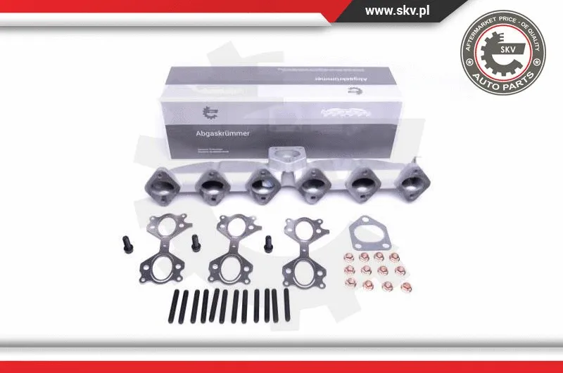 Manifold, exhaust system (49SKV053)