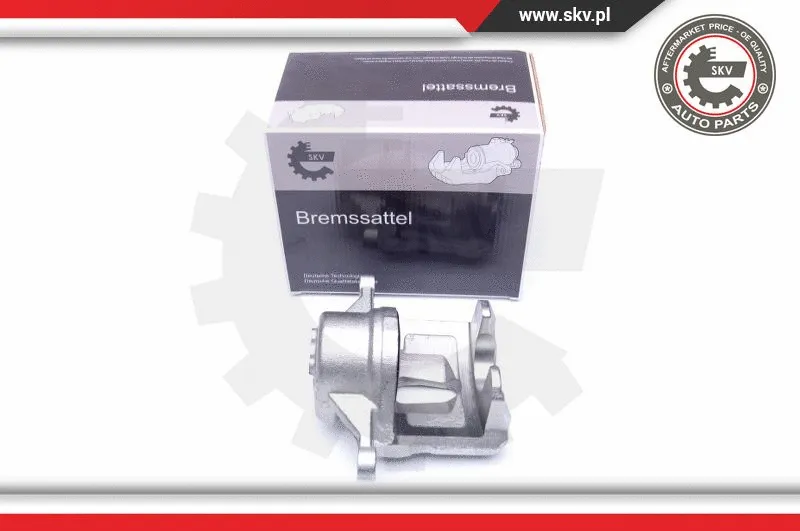 Brake Caliper (42SKV481)