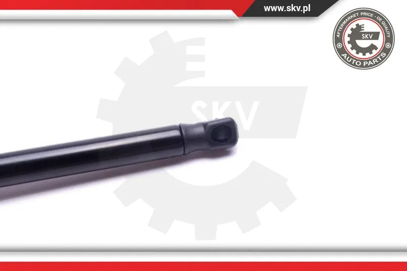 Gas Spring, boot/cargo area