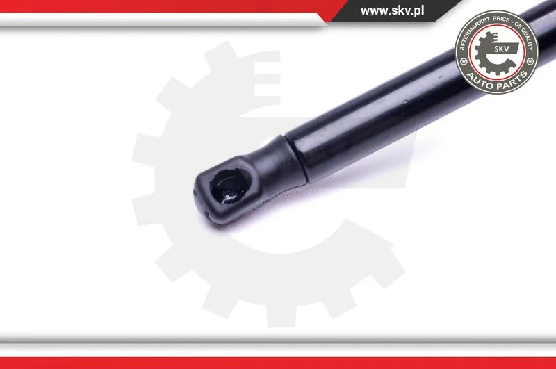 Gas Spring, boot/cargo area
