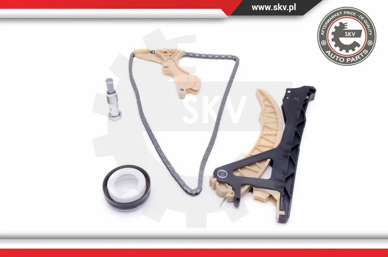 Timing Chain Kit