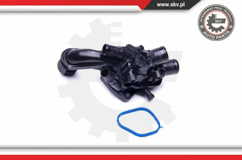 Thermostat, coolant