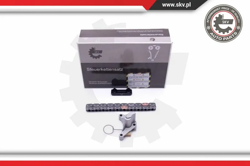 Timing Chain Kit (21SKV240)