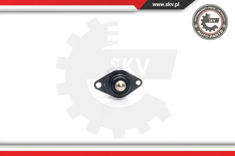 Idle Control Valve, air supply