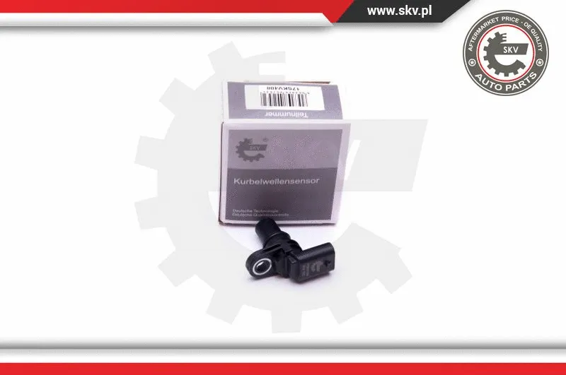 Sensor, camshaft position (17SKV488)