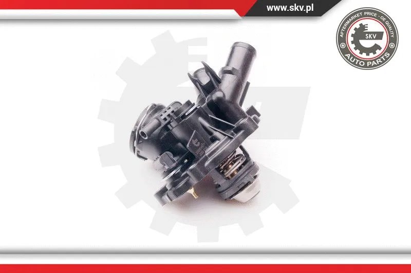 Thermostat, coolant