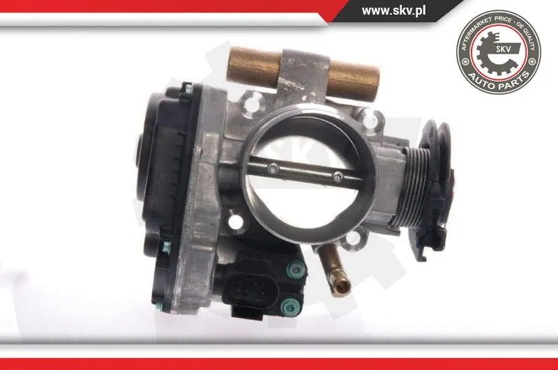 Throttle Body (12SKV017)