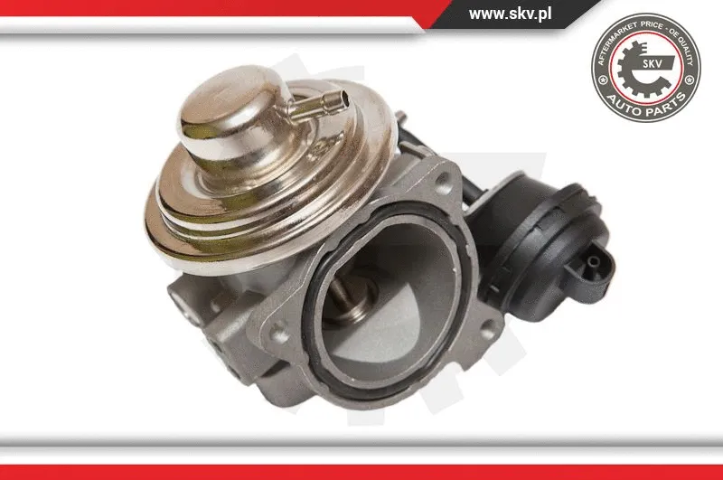 EGR Valve