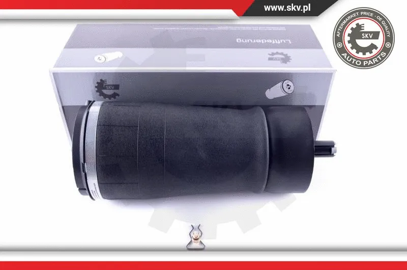 Air Spring, suspension (58SKV016)
