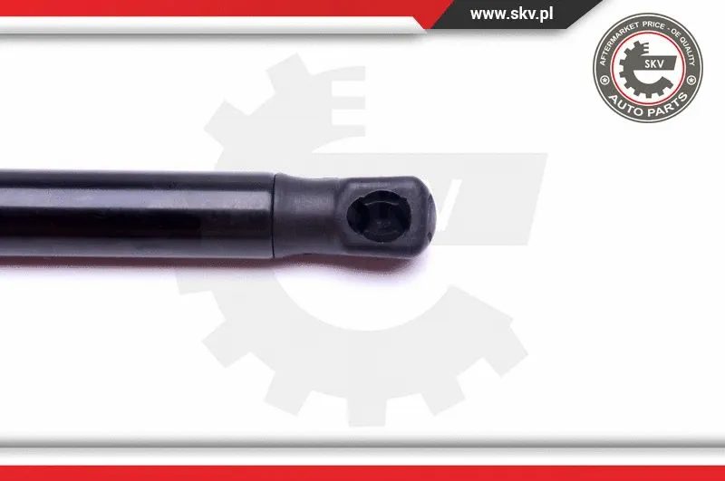 Gas Spring, boot/cargo area