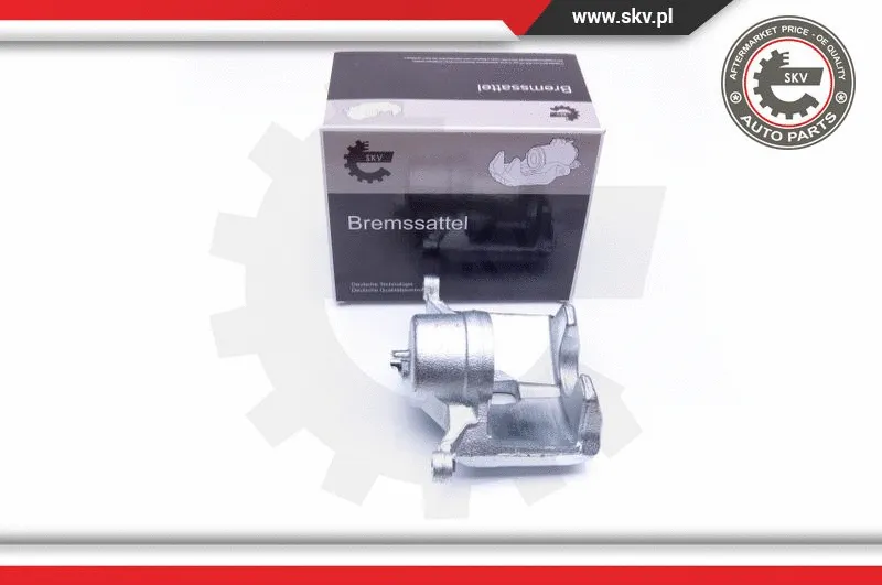 Brake Caliper (42SKV201)
