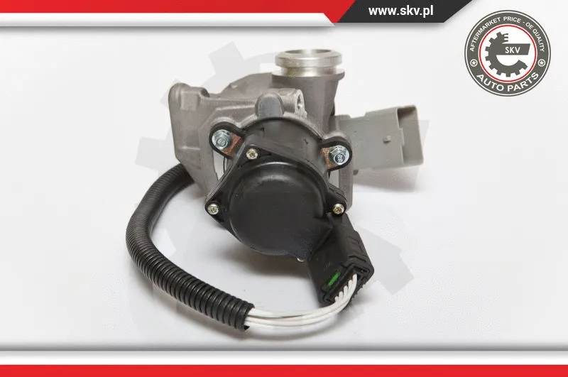EGR Valve