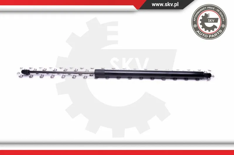 Gas Spring, boot/cargo area