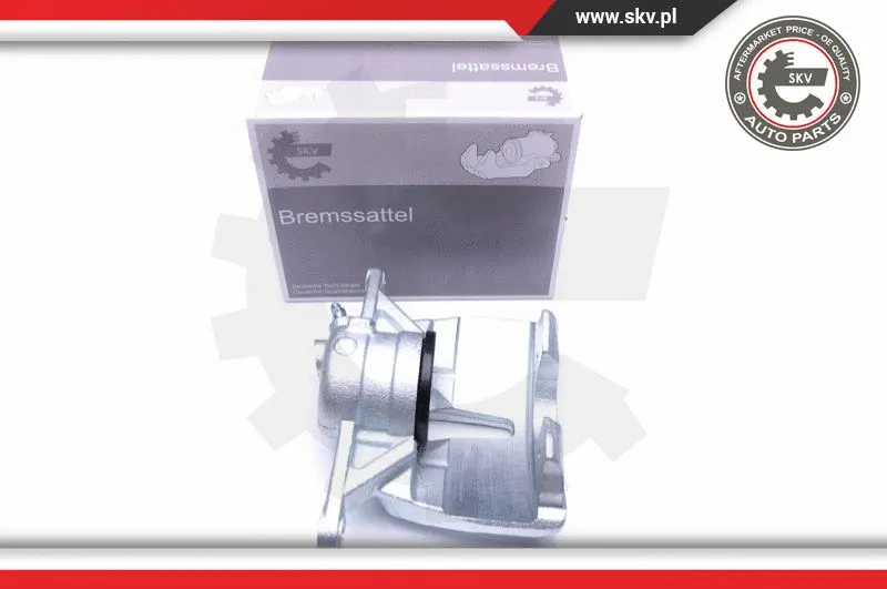Brake Caliper (44SKV402)