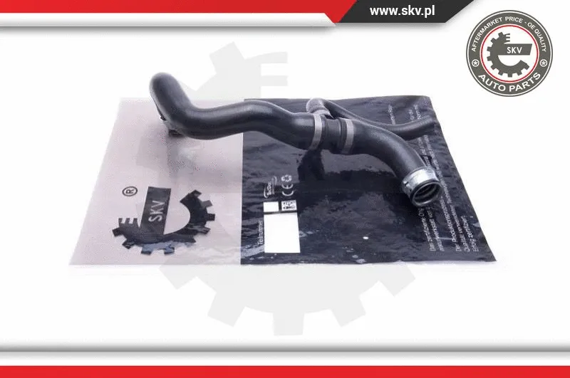 Radiator Hose (43SKV874)