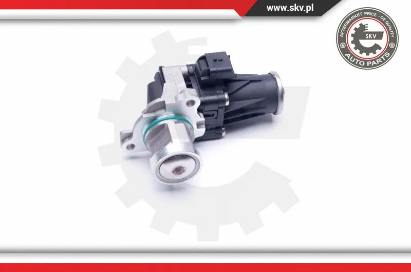EGR Valve