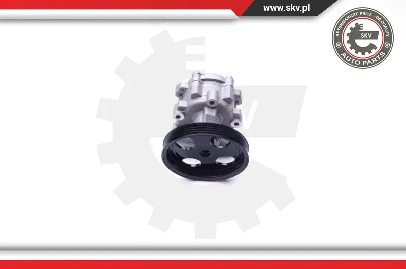 Hydraulic Pump, steering (10SKV251)