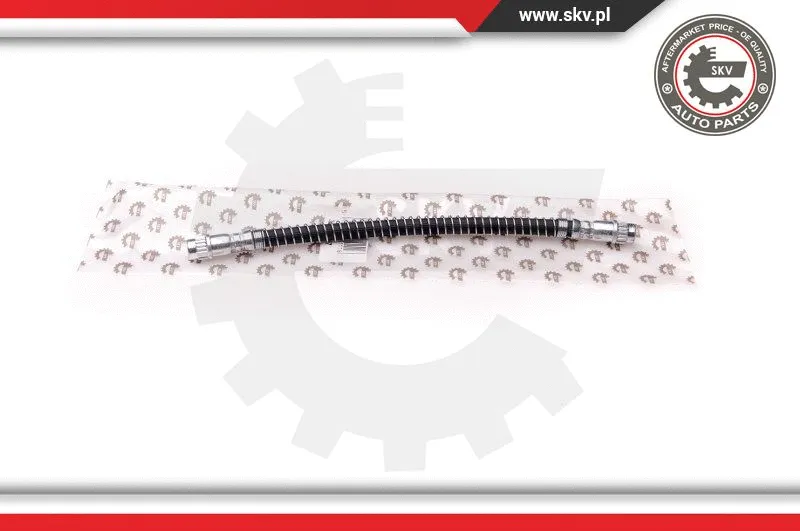 Brake Hose (35SKV067)
